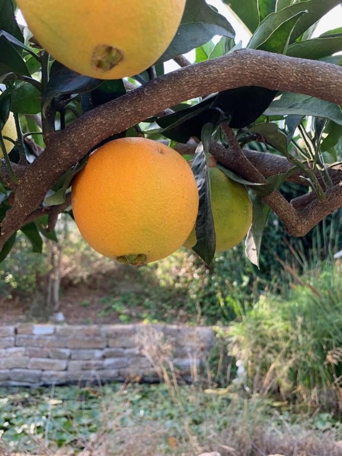 A Natural Retreat Mijas Luaran gambar